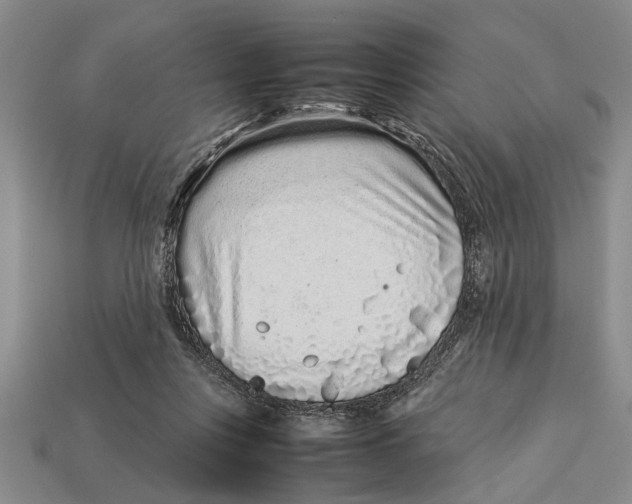 X0000113010359200909241357