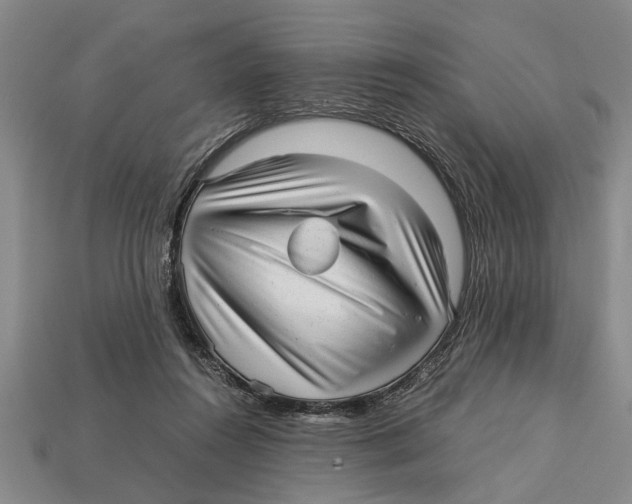 X0000113010360200909241357