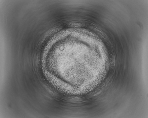 X0000113010361200909241357