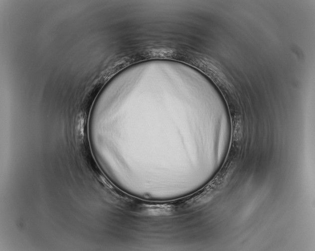 X0000113010363200909241357
