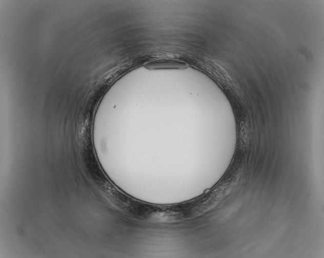 X0000113010364200909241357