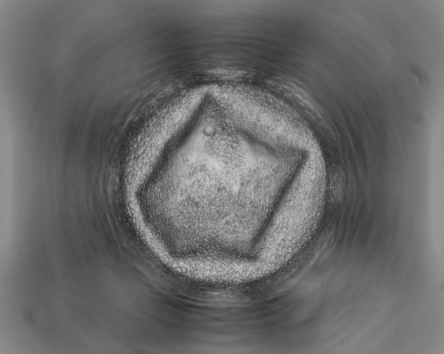 X0000113010365200909241357
