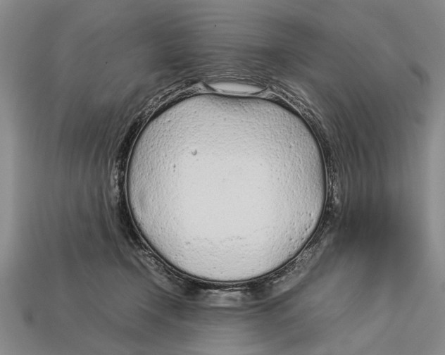X0000113010366200909241357