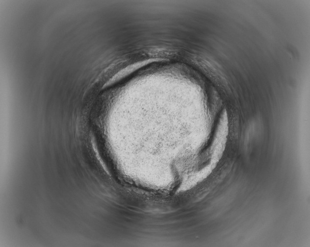 X0000113010367200909241357