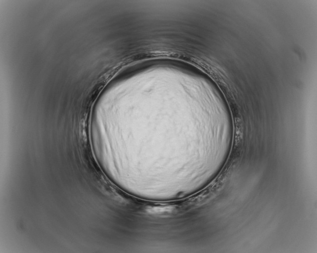 X0000113010369200909241357