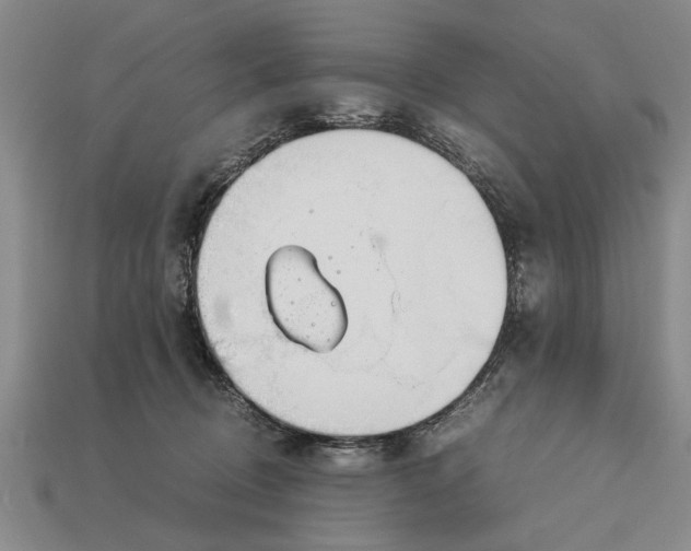 X0000113010370200909241357