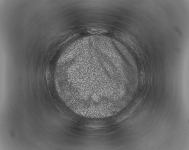 X0000113010371200909241357