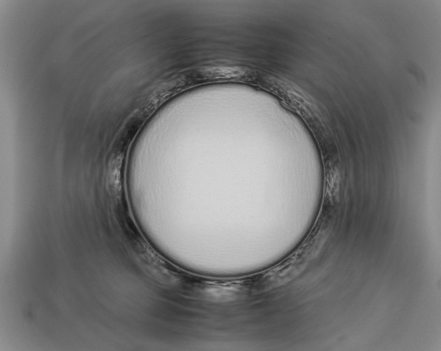 X0000113010373200909241357