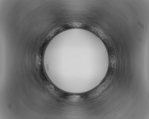 X0000113010374200909241357