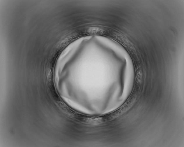 X0000113010375200909241357