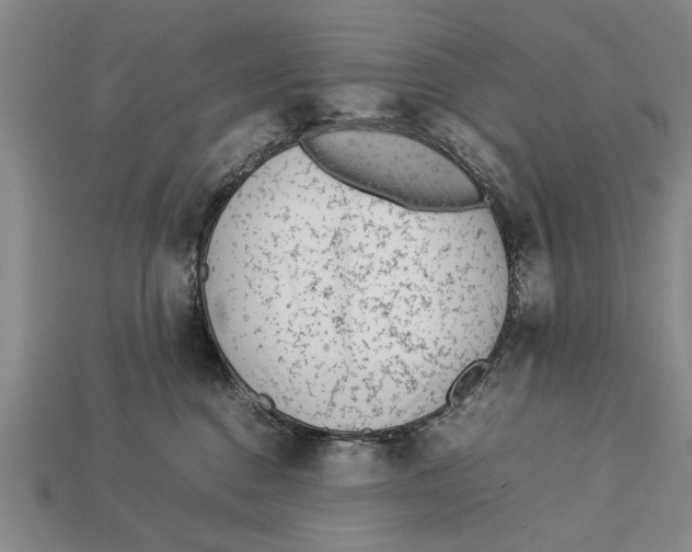 X0000113010376200909241357