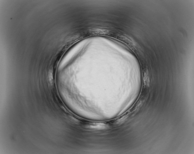 X0000113010377200909241357