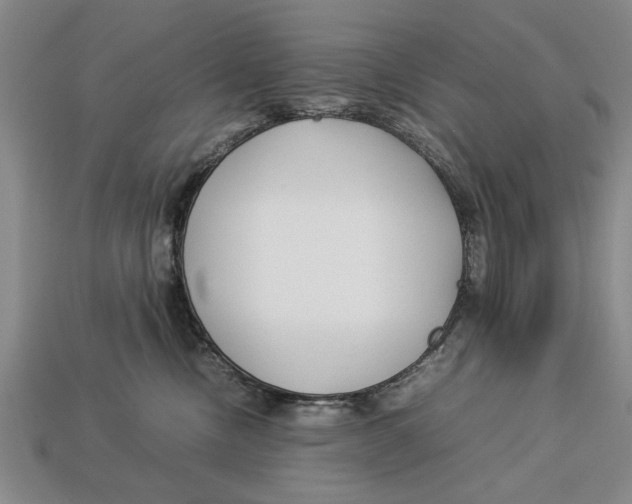 X0000113010378200909241357