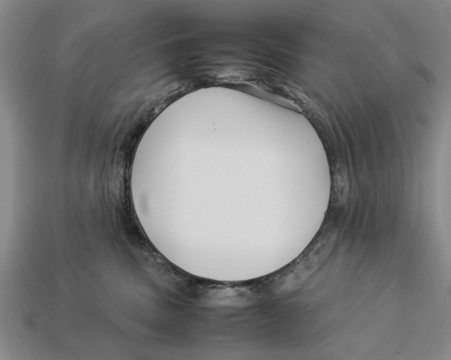 X0000113010379200909241357