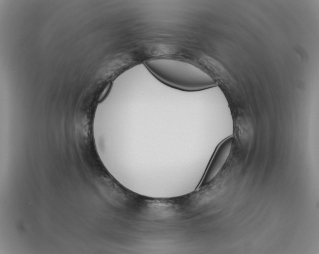 X0000113010380200909241357