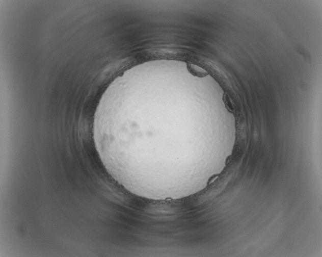 X0000113010381200909241357