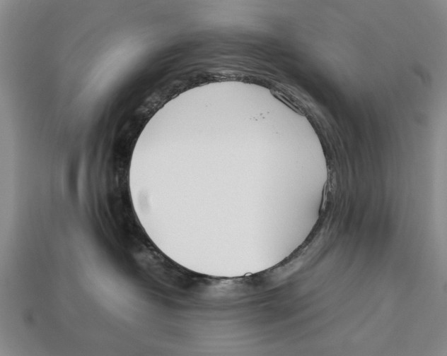 X0000113010382200909241357
