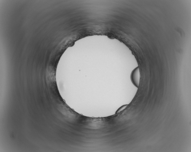 X0000113010384200909241357