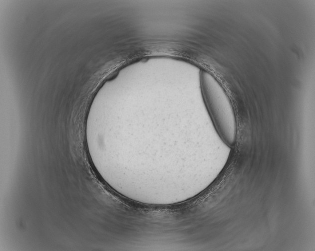 X0000113010385200909241357