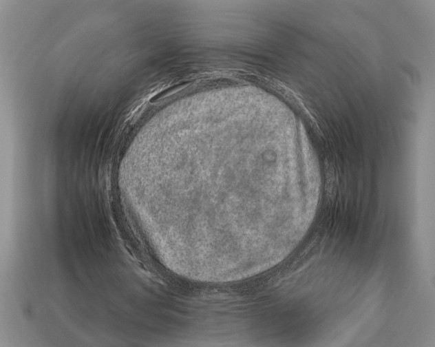 X0000113010386200909241357