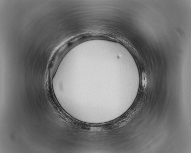 X0000113010388200909241357
