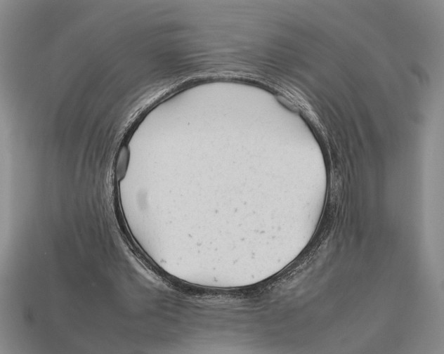 X0000113010389200909241357
