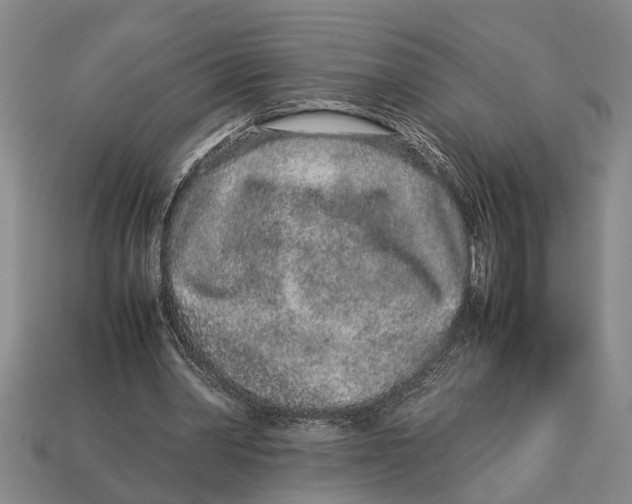 X0000113010390200909241357