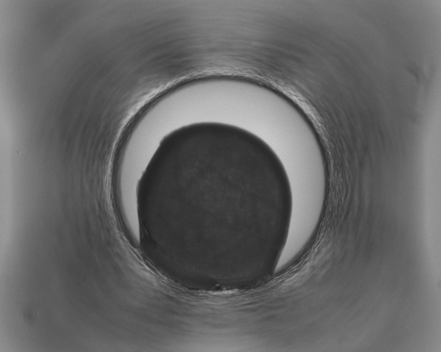 X0000113010391200909241357
