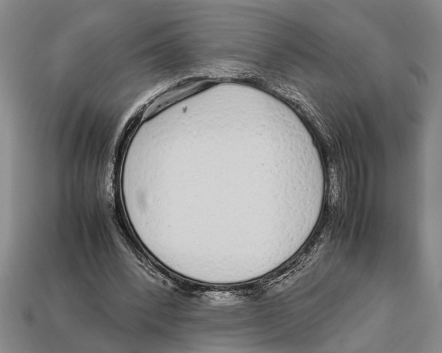 X0000113010392200909241357