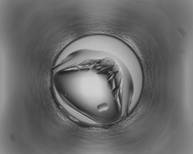 X0000113010393200909241357