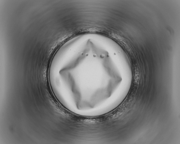 X0000113010394200909241357