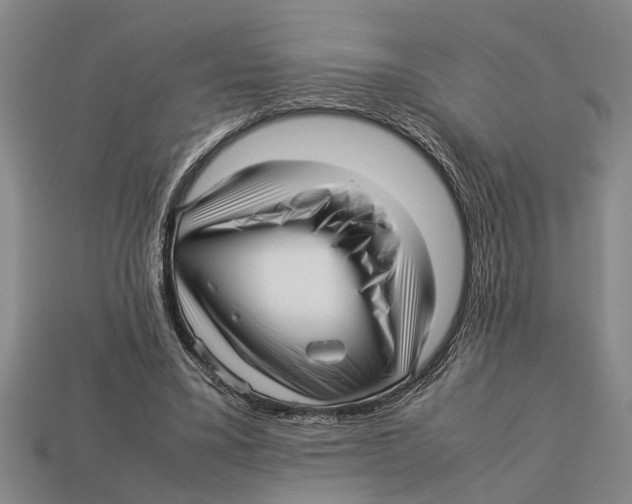 X0000113010395200909241357