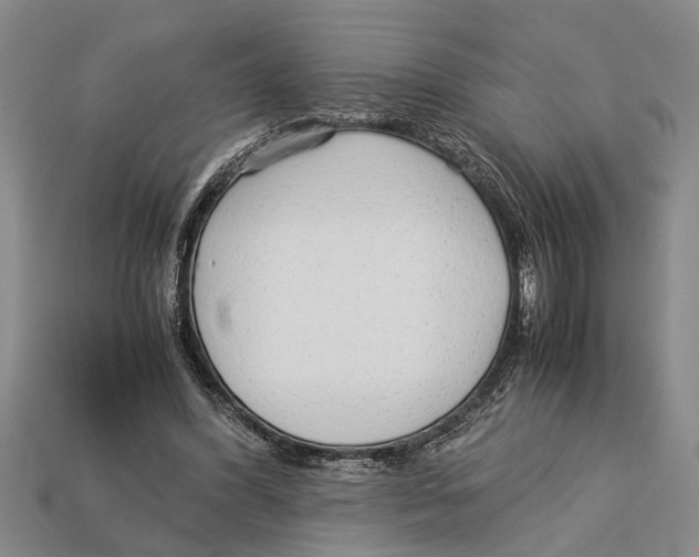 X0000113010396200909241356