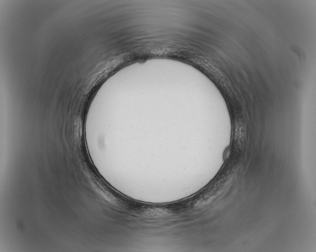 X0000113010397200909241356