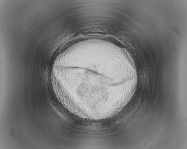 X0000113010398200909241356