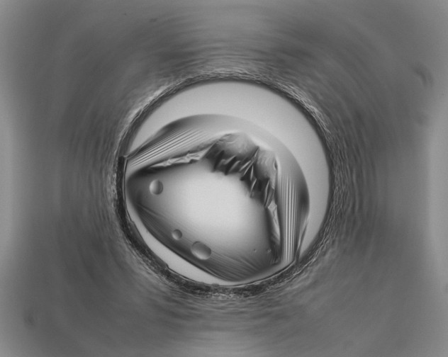 X0000113010399200909241356