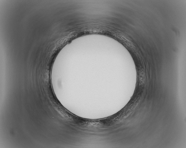 X0000113010401200909241356