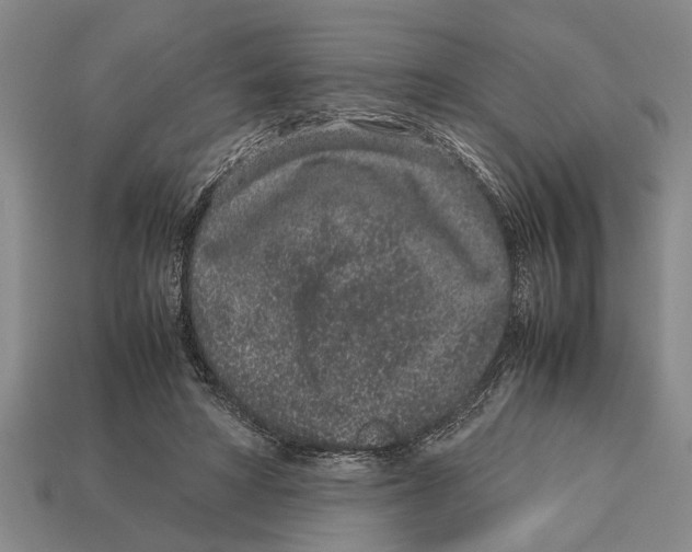 X0000113010402200909241356