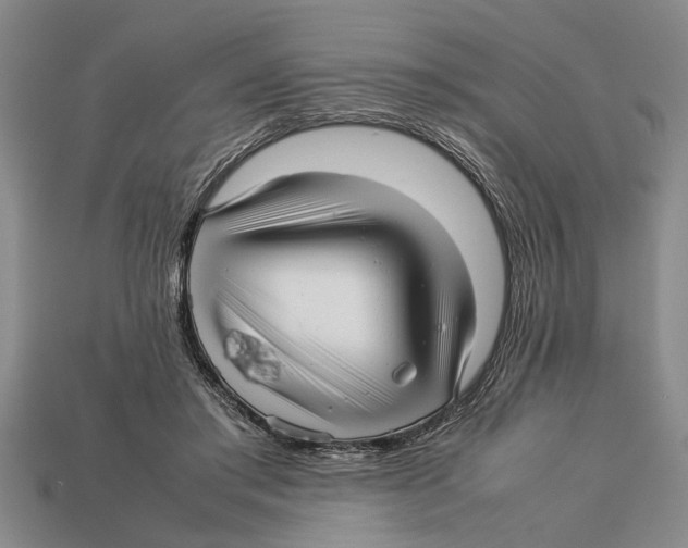 X0000113010405200909241356