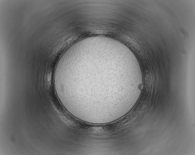 X0000113010406200909241356