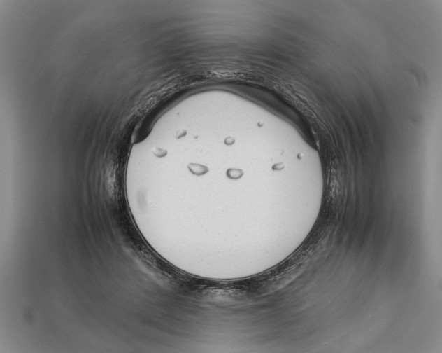 X0000113010408200909241356