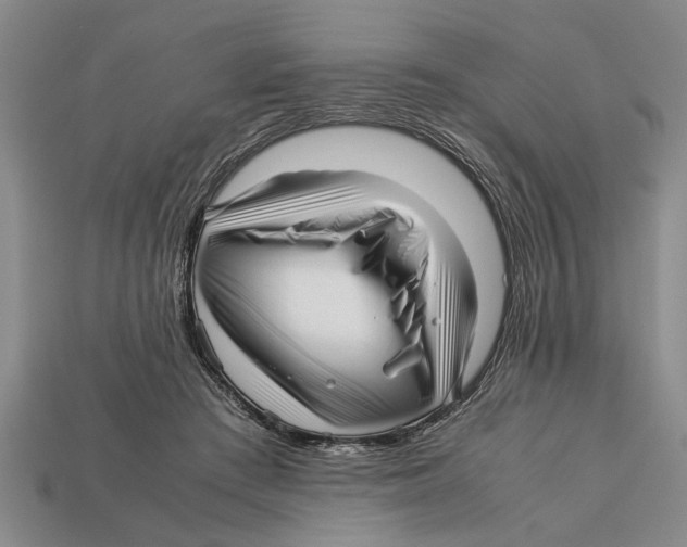 X0000113010409200909241356