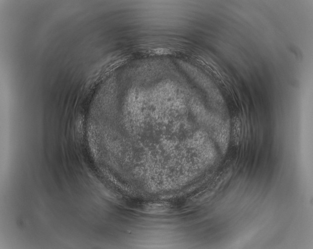 X0000113010410200909241356