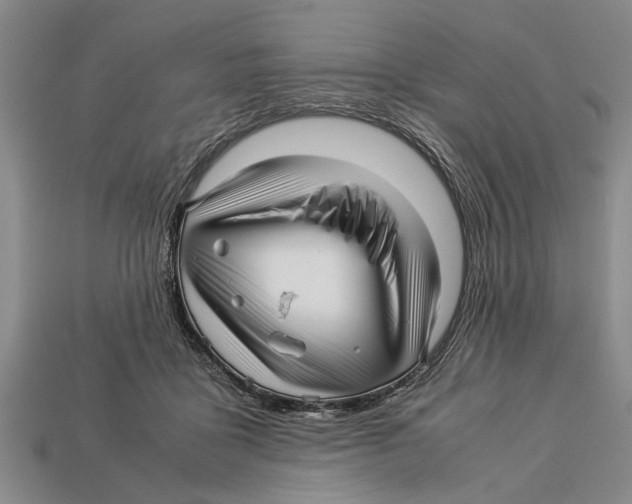 X0000113010411200909241356