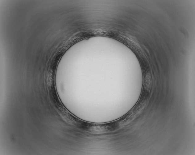 X0000113010413200909241356