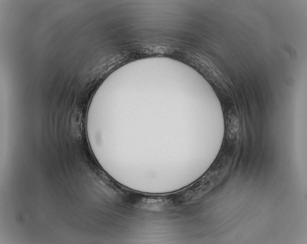 X0000113010414200909241356