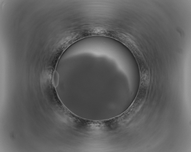 X0000113010415200909241356