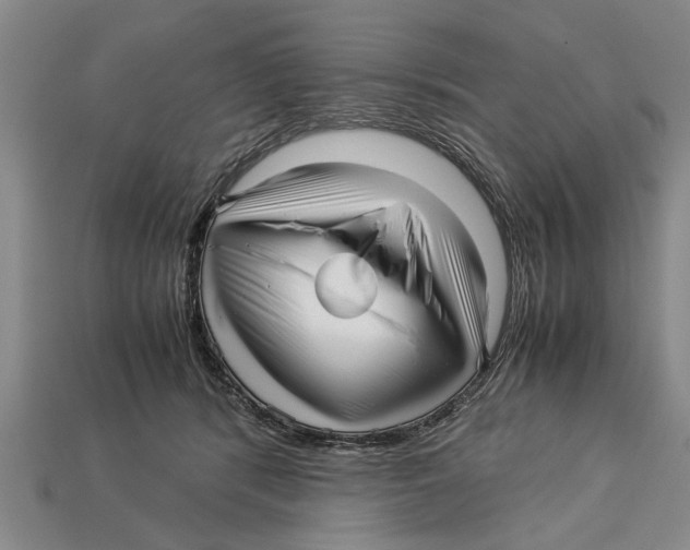 X0000113010416200909241356