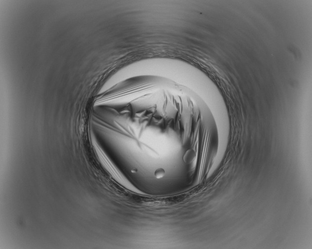 X0000113010417200909241356