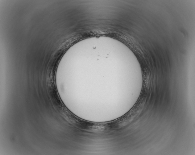 X0000113010418200909241356